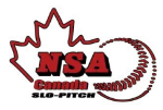 NSA LOGO